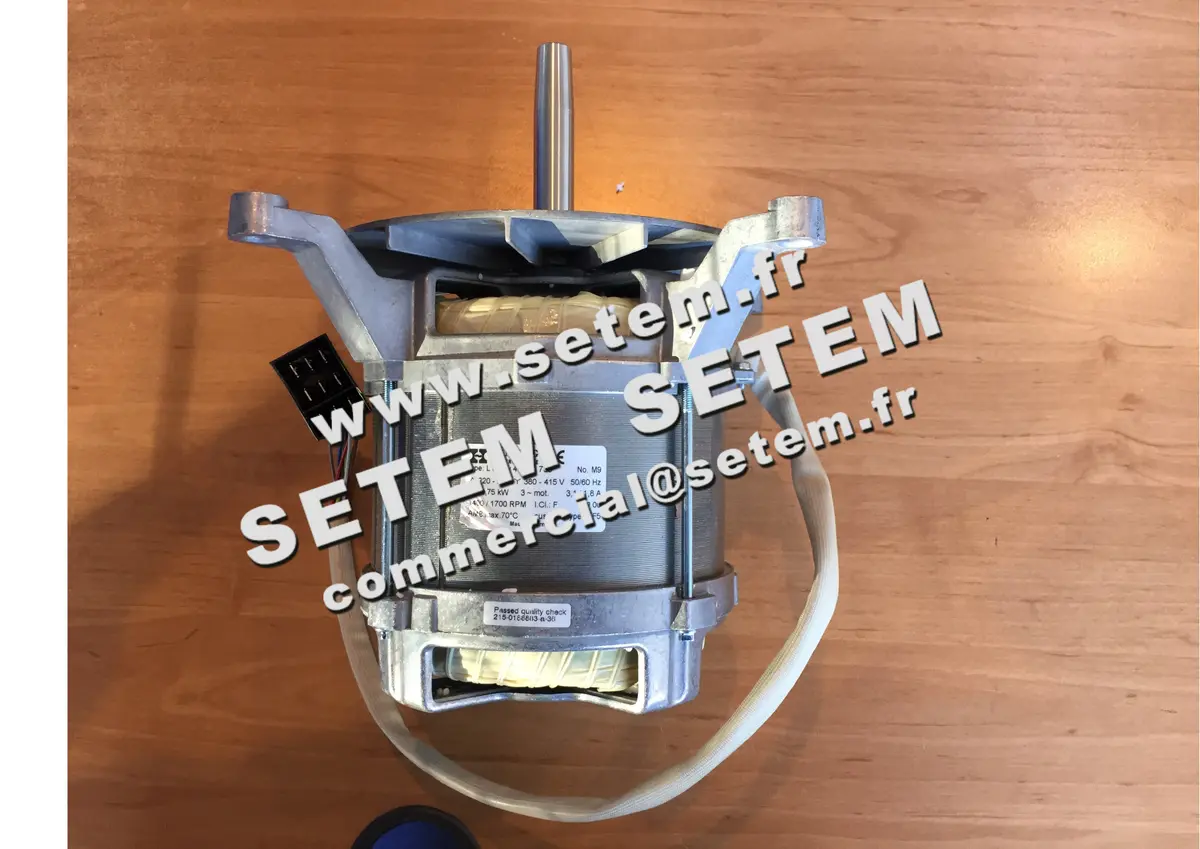 2729005122-MOTEUR HANNING L9FW4D1.733 MF5 2