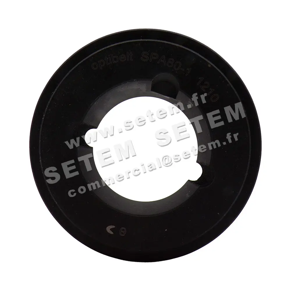 3038506588-POULIE 1SPA80 3