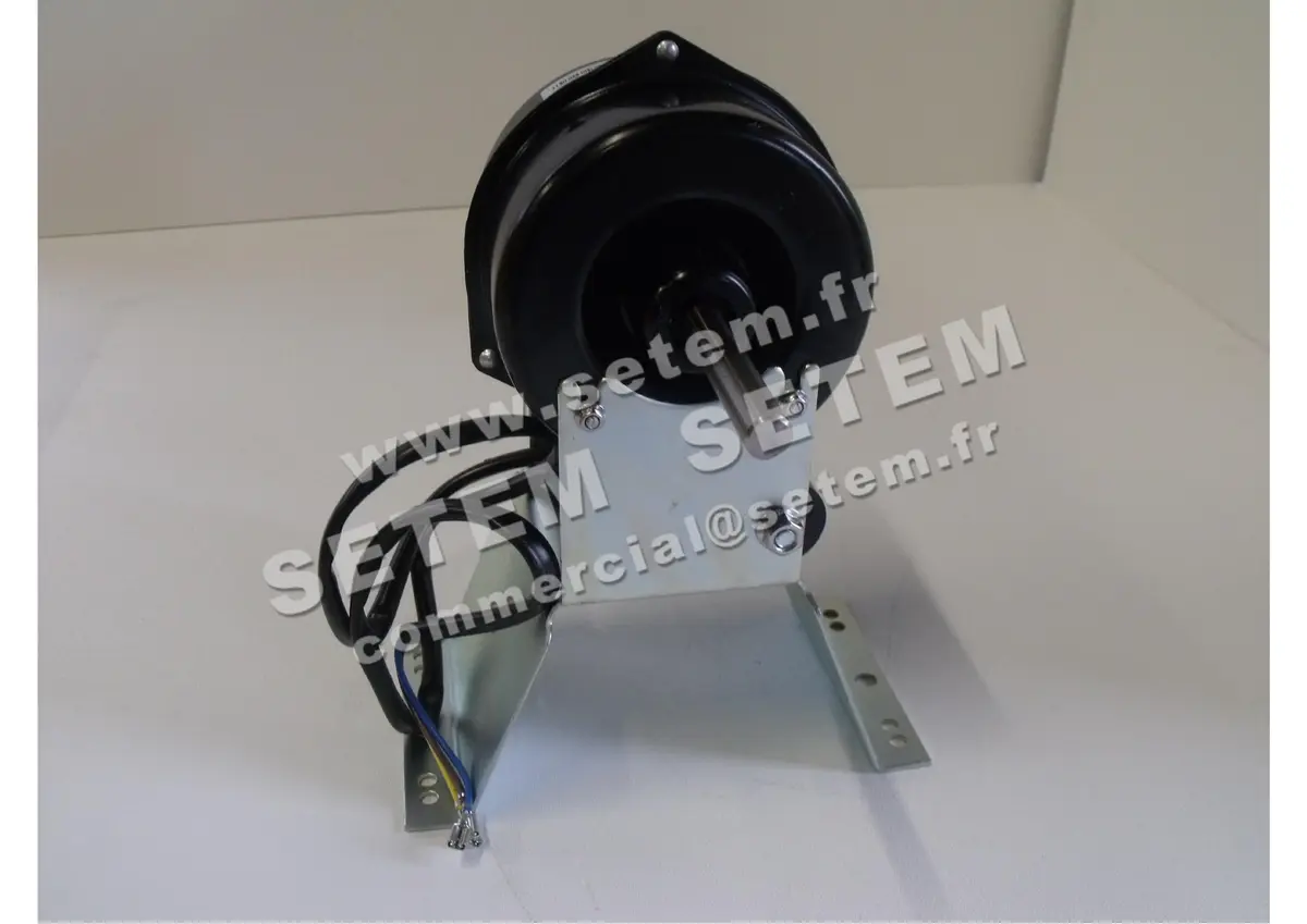 3323000181-MOTEUR JINGJIANG 550181