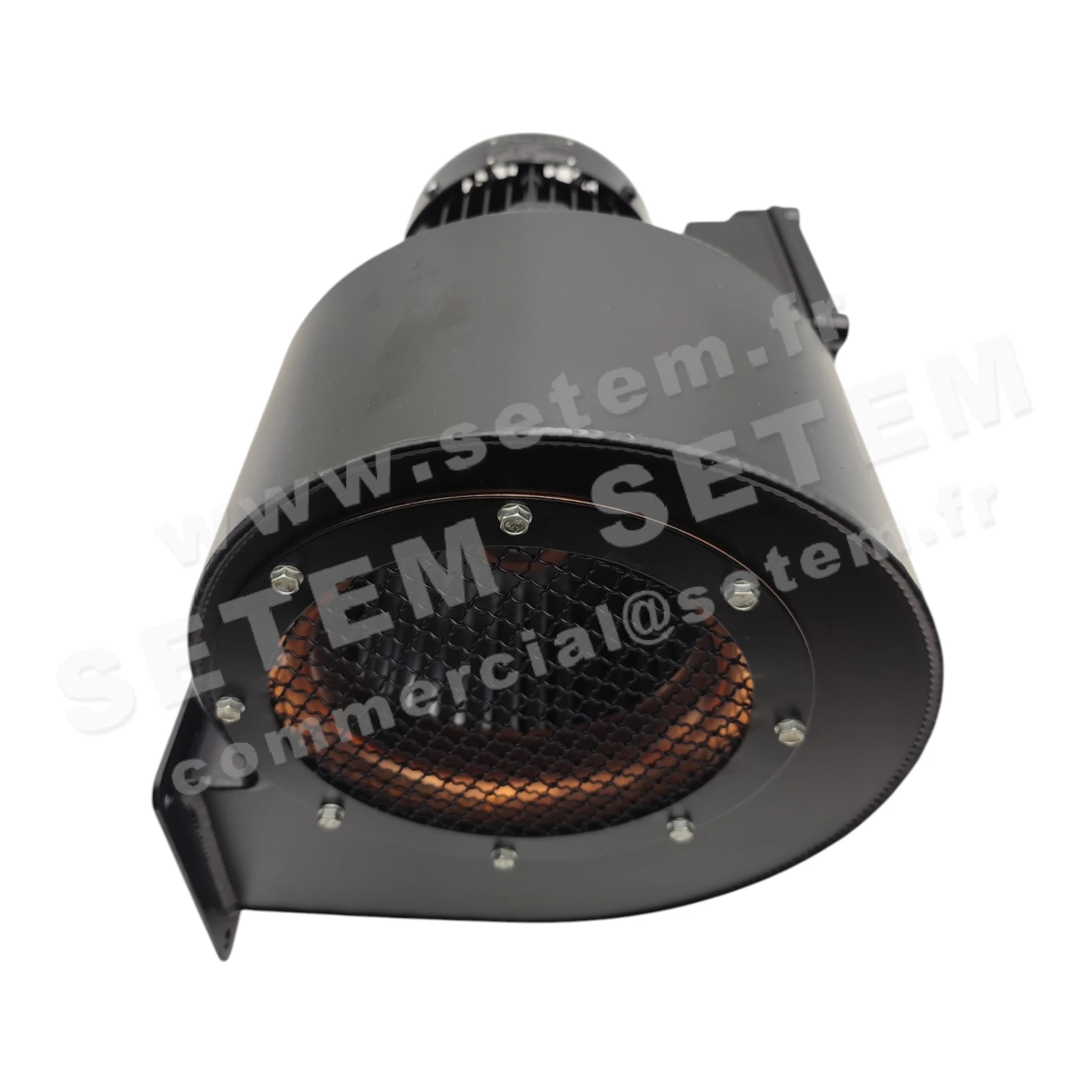 VENTILATEUR DNG6-40 EEDA80S/2T-116184 II2GEXHIIBT3GB *81575-1.040* 3