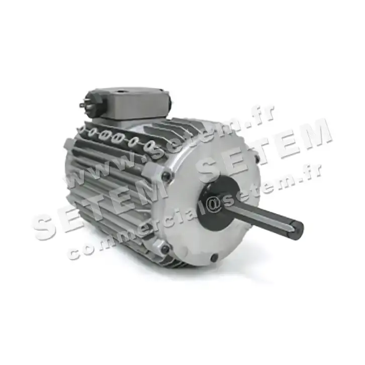 3902000050-MOTEUR LEROYSOMER CM29/T "DK12AB050EE"