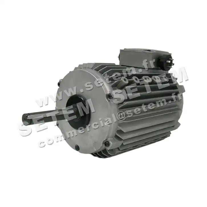 3902000050-MOTEUR LEROYSOMER CM29/T "DK12AB050EE" 2