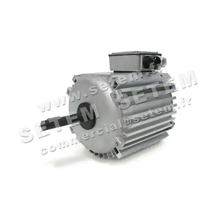3902002025-MOTEUR LEROYSOMER CF29G 550/310W 6/8P T400V