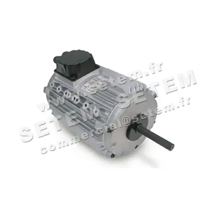 3902002581-MOTEUR LEROYSOMER CM29/T 60W 18P T230/400V