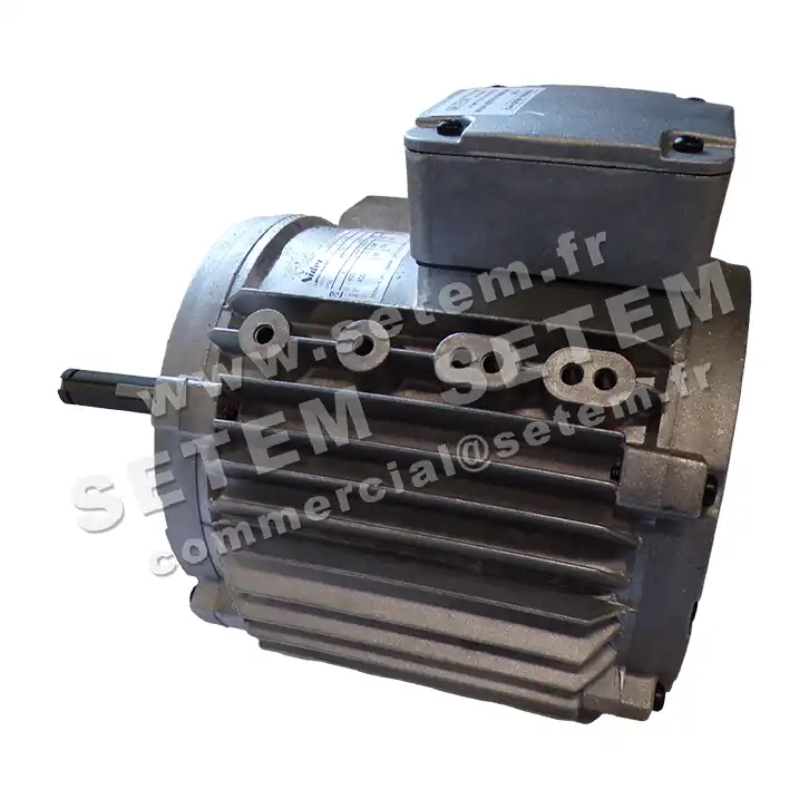 3902003000-MOTEUR LEROYSOMER CM29G/T 550/310W 6P T400V "10MTF029" 2