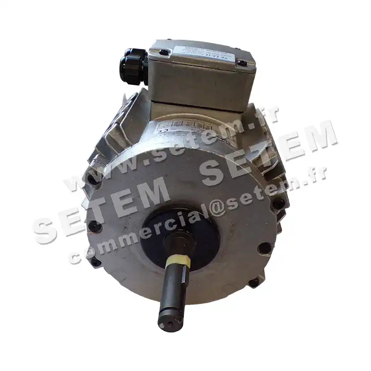 3902003000-MOTEUR LEROYSOMER CM29G/T 550/310W 6P T400V "10MTF029" 3