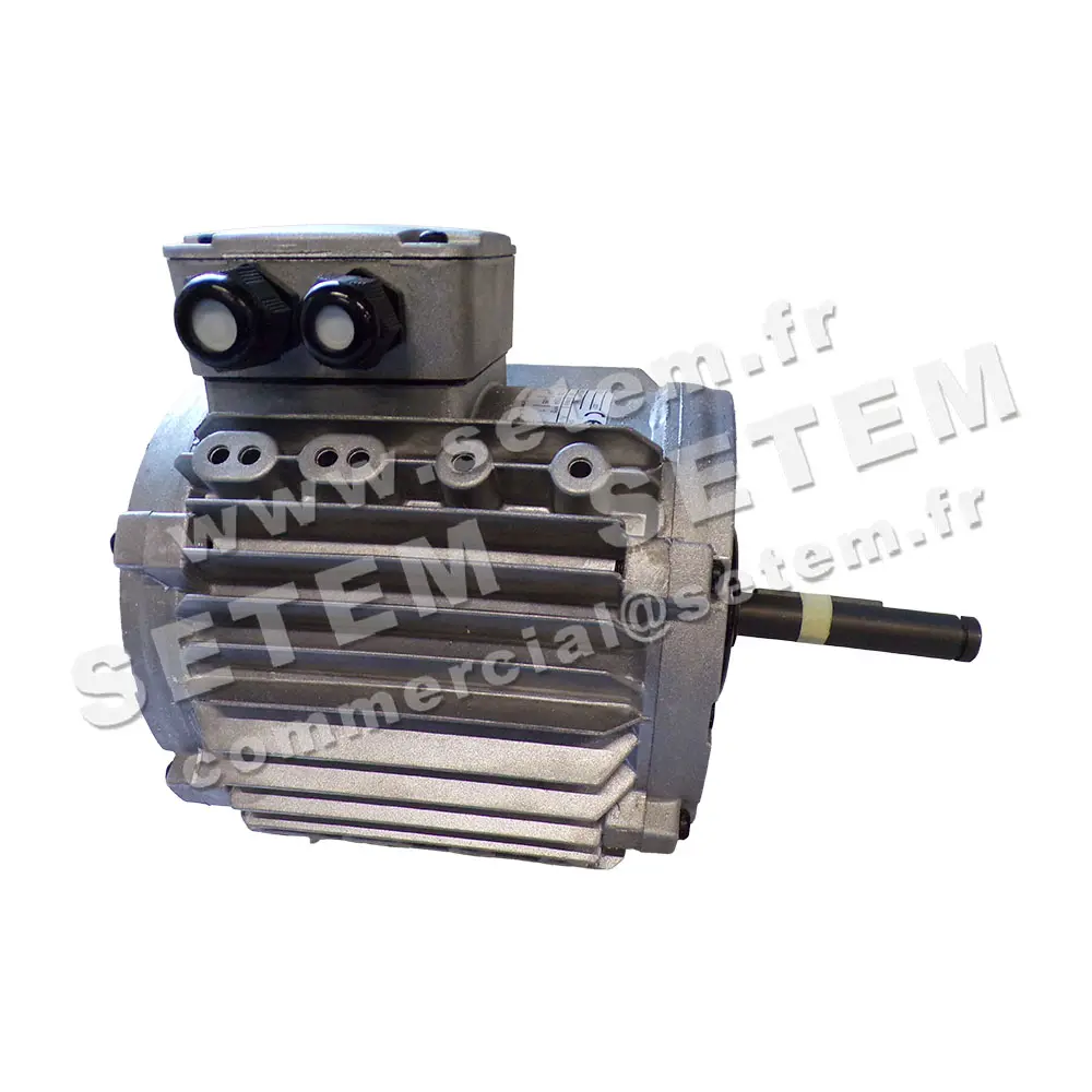 3902003000-MOTEUR LEROYSOMER CM29G/T 550/310W 6P T400V "10MTF029" 4