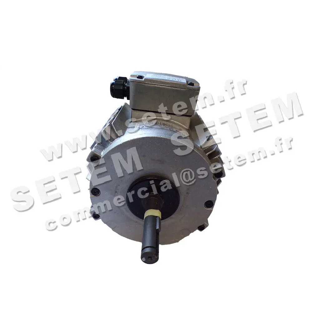 3902003000-MOTEUR LEROYSOMER CM29G/T 550/310W 6P T400V "10MTF029" 5