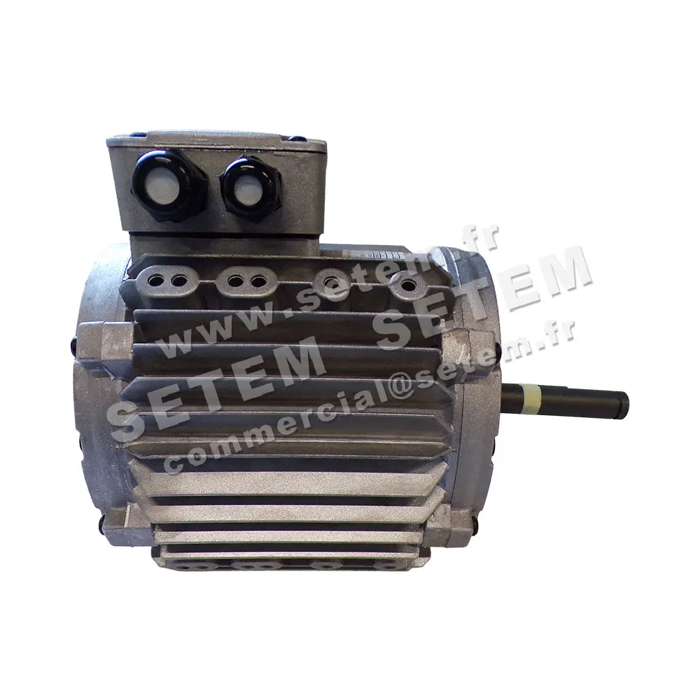 3902003000-MOTEUR LEROYSOMER CM29G/T 550/310W 6P T400V "10MTF029" 6