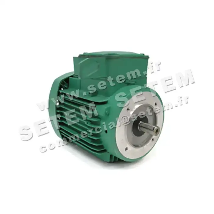 3902009135-MOTEUR LEROYSOMER 0.25KW 4P M230V T230/400V HA71 B14 LS71TP