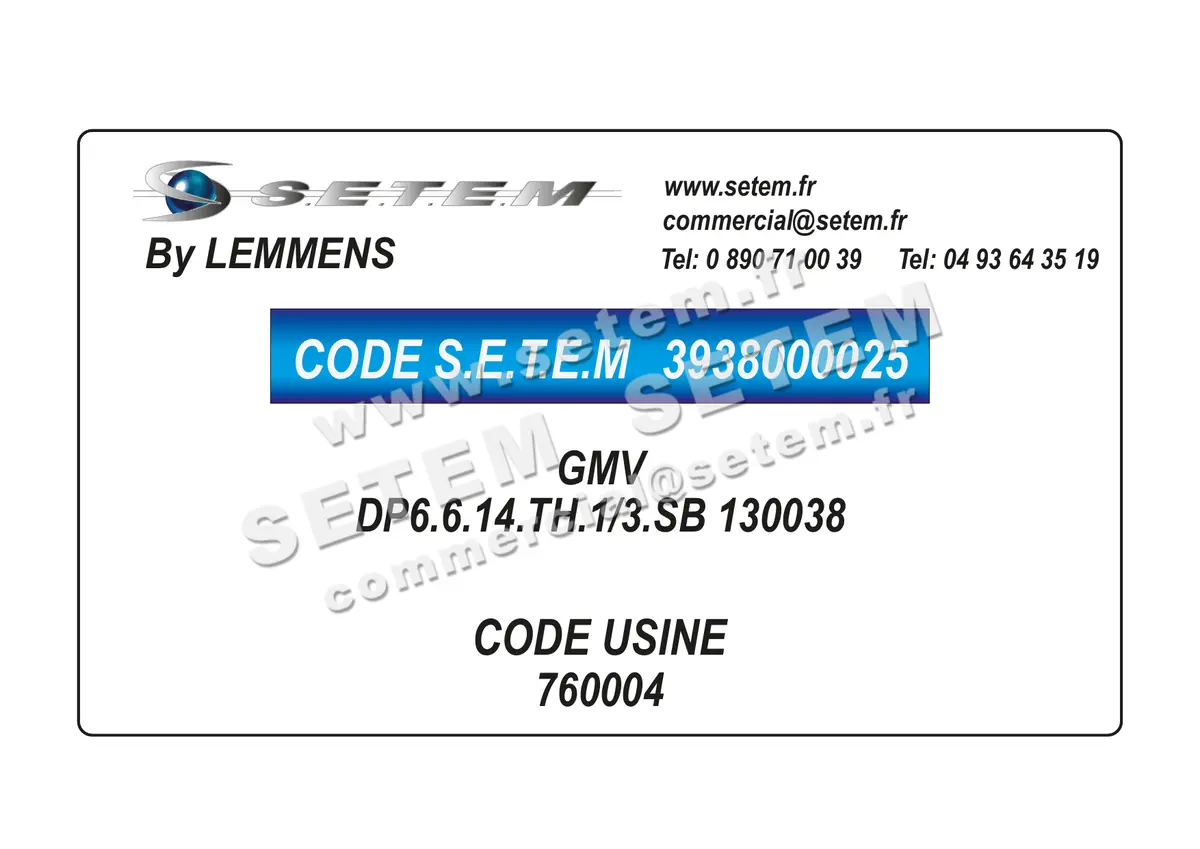 3938000025-GMV LEMMENS DP6.6.14.TH.1/3.SB 130038 *760004* 6