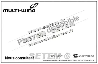 4337009930-PALE SCIEE L100MM HORS EMBASE MULTIWING 2