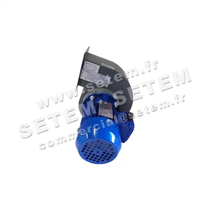 4348000031-VENTILATEUR MISTRAL N402SV 0.25KW 2P M230V LG 0° 6