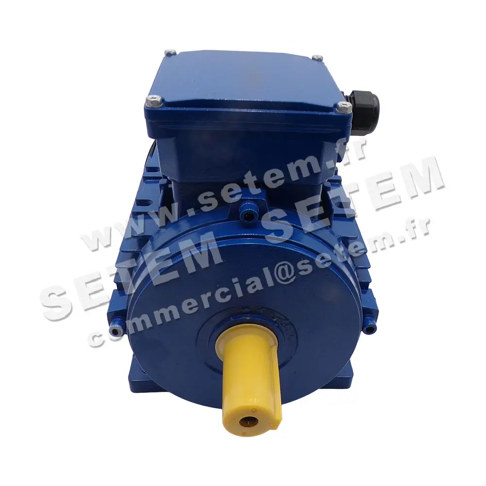 4351501065-MOTEUR EMC ELECTRIC MOTORS 1.10KW 4P T230/400V HA90 B3 MSE390S-4 2