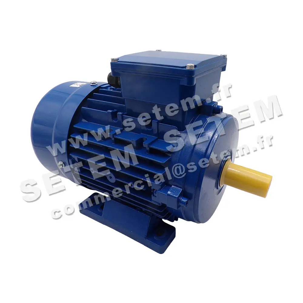 4351501065-MOTEUR EMC ELECTRIC MOTORS 1.10KW 4P T230/400V HA90 B3 MSE390S-4 3