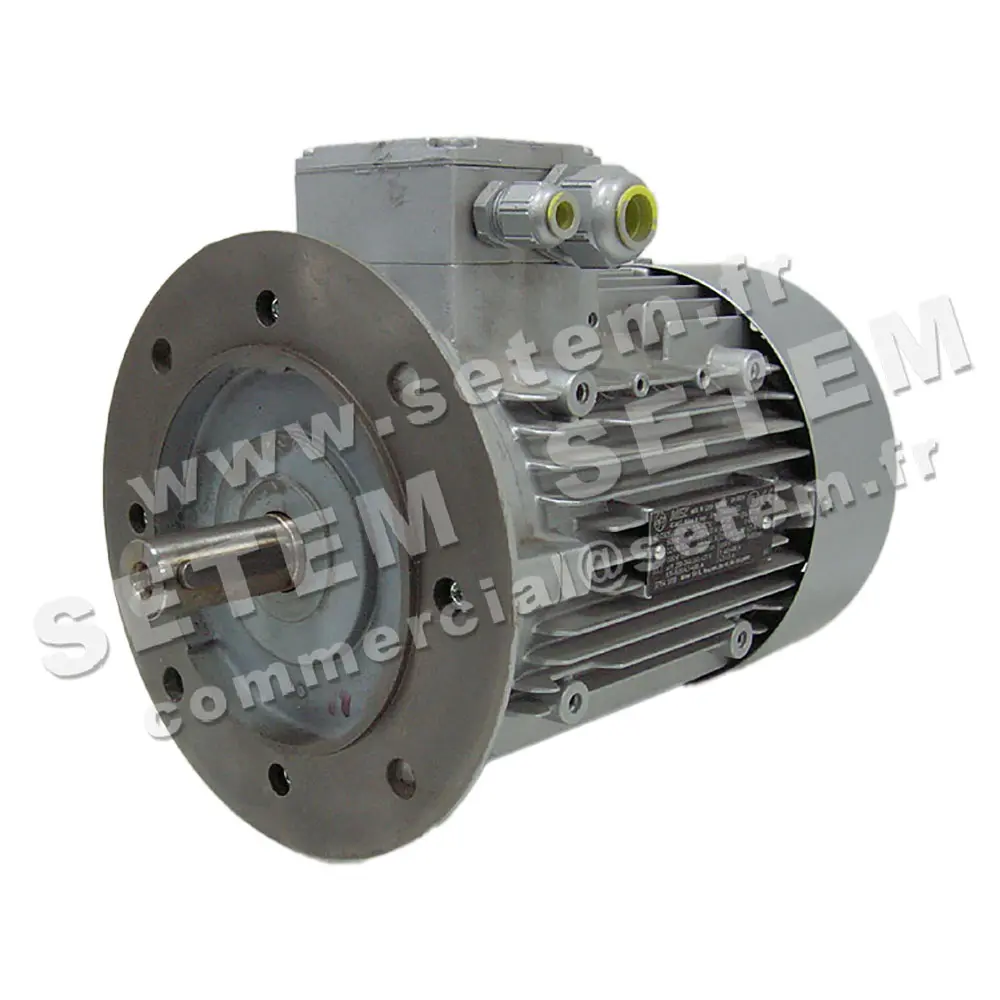 4360000081-MOTEUR MEZ 2.20KW 2P T230/400V HA90 B5 7AA90L02 2