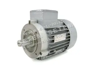 4360006553-MOTEUR MEZ 1.00/0.25KW 4/8P T400V HA90 B14 4AP90S.84