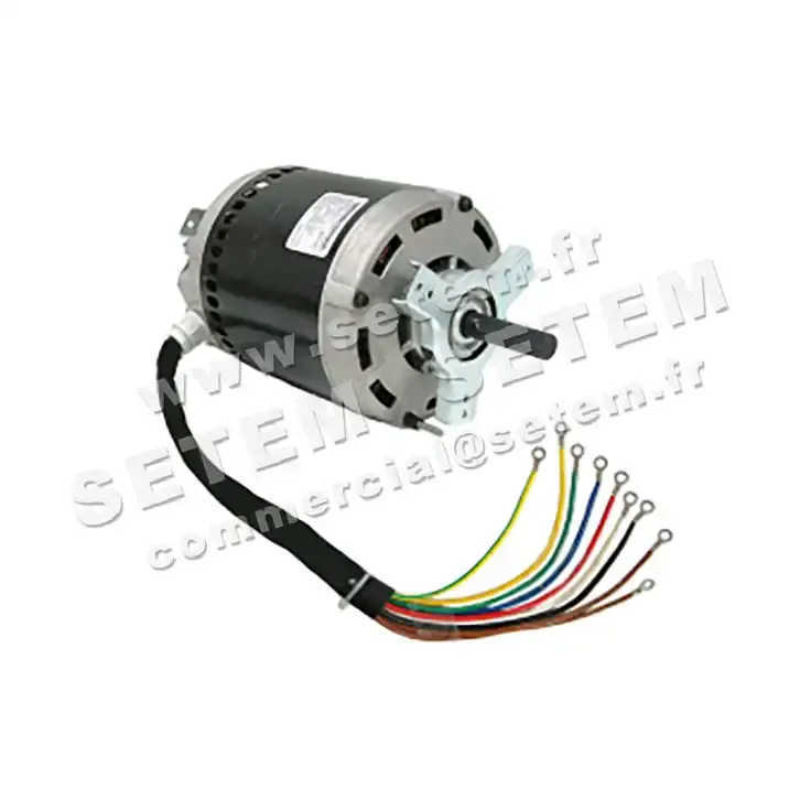 4624000021-MOTEUR E0A1711 MO1194 "141977"