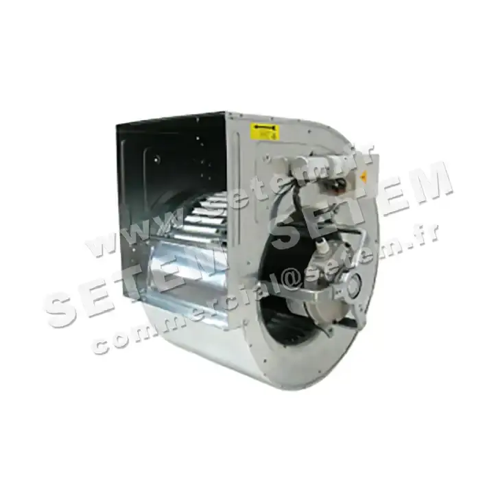 4624002110-VENTILATEUR NICOTRA GEBHARDT DD12/9 736W 6P M230V 1V M9F6 +BB *6M09W9*