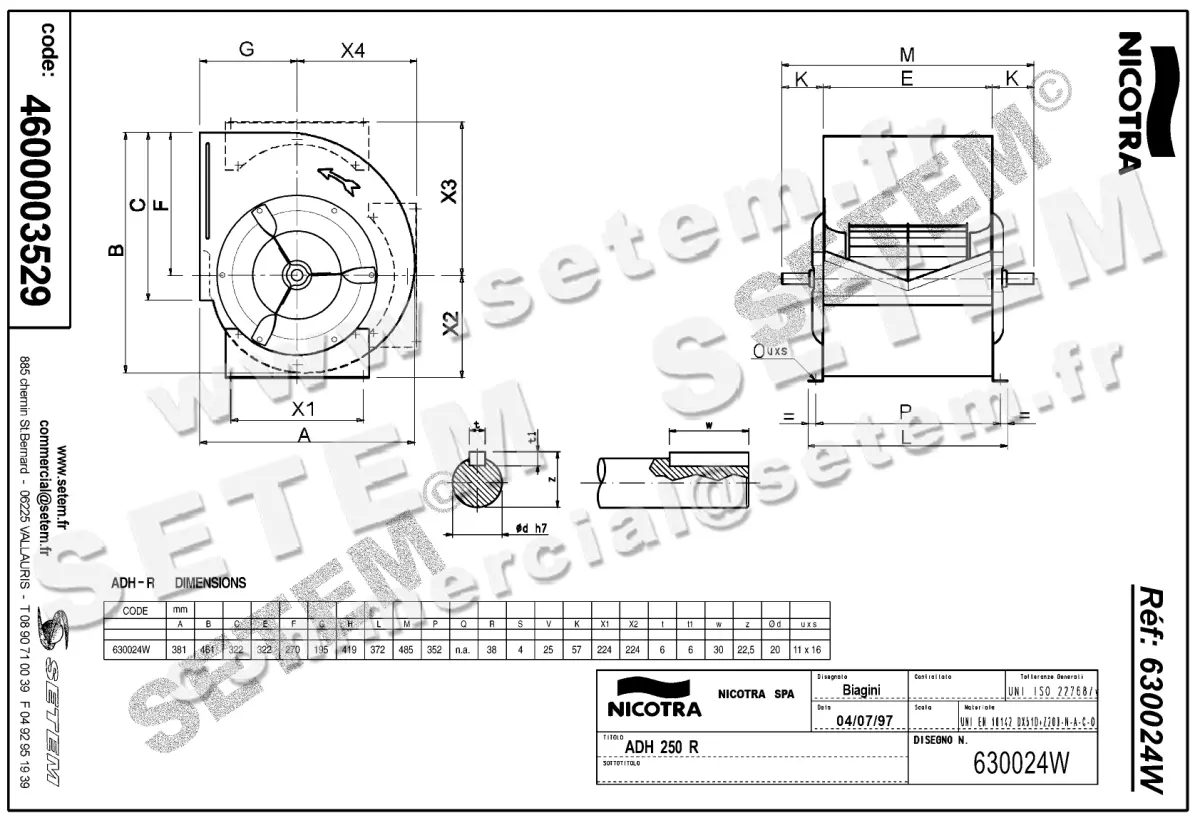 4624003529-VENTILATEUR NICOTRA GEBHARDT VRE ADH250R *630024W* 2