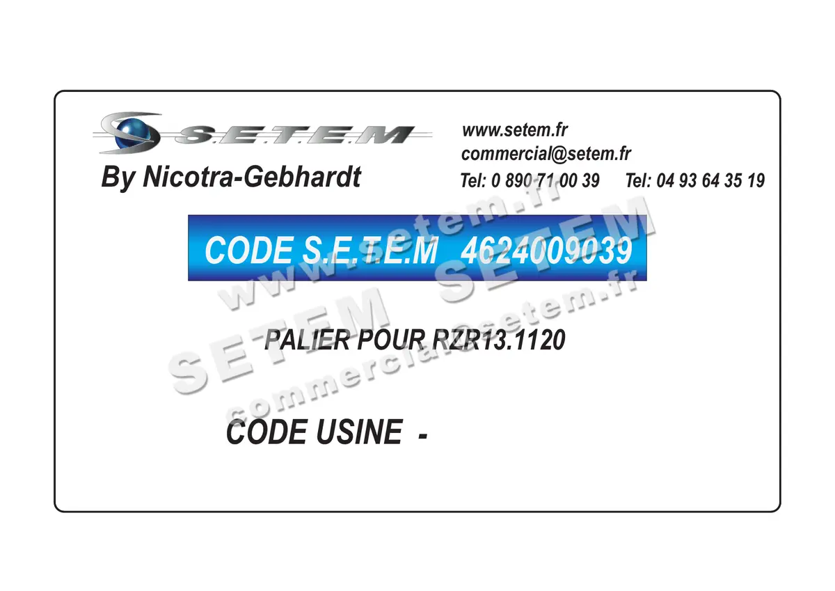 4624009039-PALIER POUR RZR13.1120 NICOTRA GEBHARDT