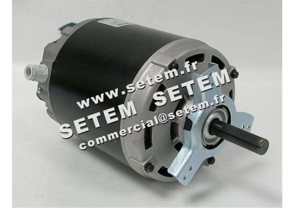 4624500067-MOTEUR NICOTRA P60635E0A1701 *141003*