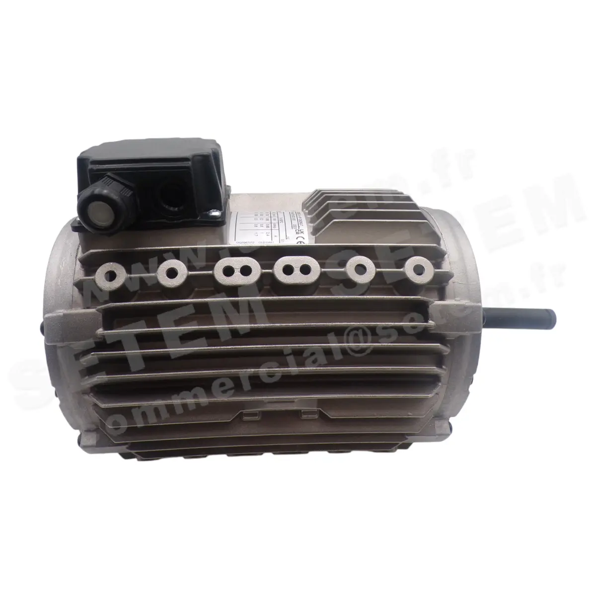 5167000040-MOTEUR PROFROID CM29G/T *0303052*
