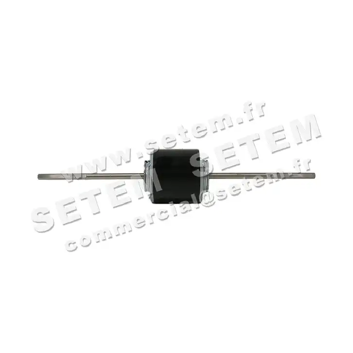 5322002001-MOTEUR POLESTAR 105FB55/6V-2 2
