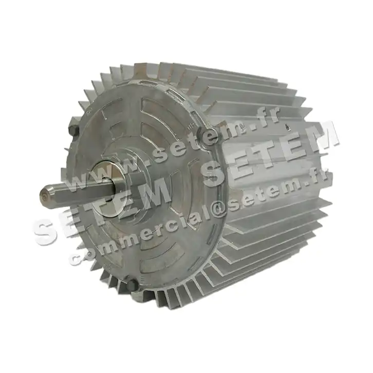 5726000008-MOTEUR RPM 11007513 2
