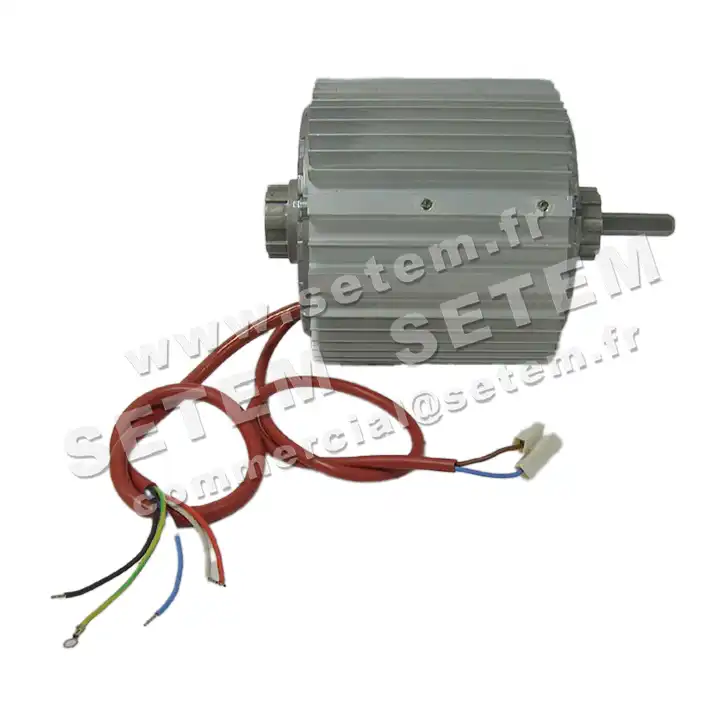 5726000008-MOTEUR RPM 11007513 3