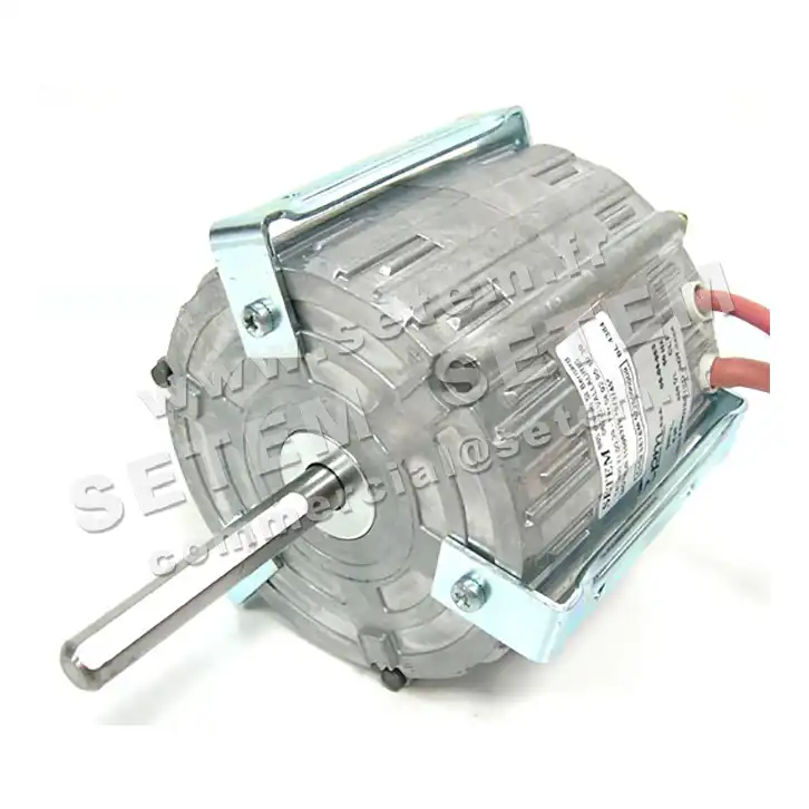 5726000009-MOTEUR RPM 11006325 2