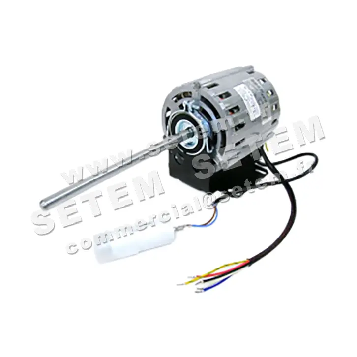 5726000020-MOTEUR RPM 11020003 "C5039454"