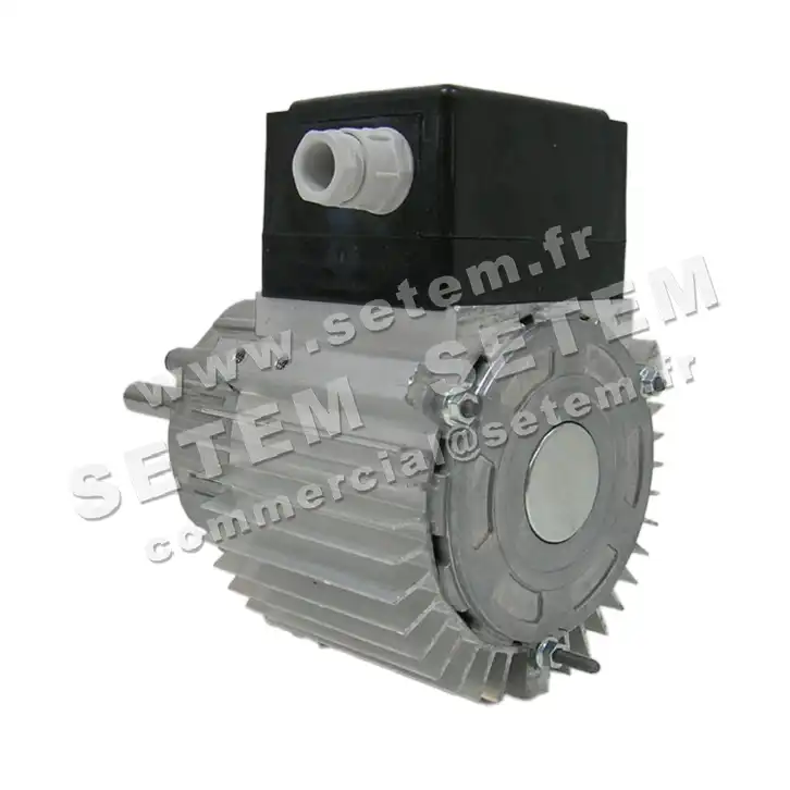 5726000041-MOTEUR RPM C004709 2