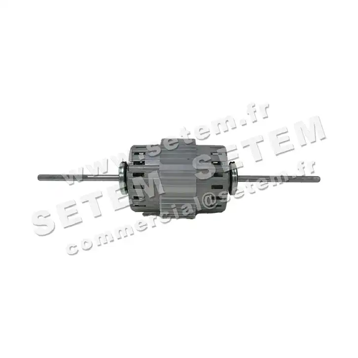 5726000057-MOTEUR RPM 11020220 "PB024039" 2