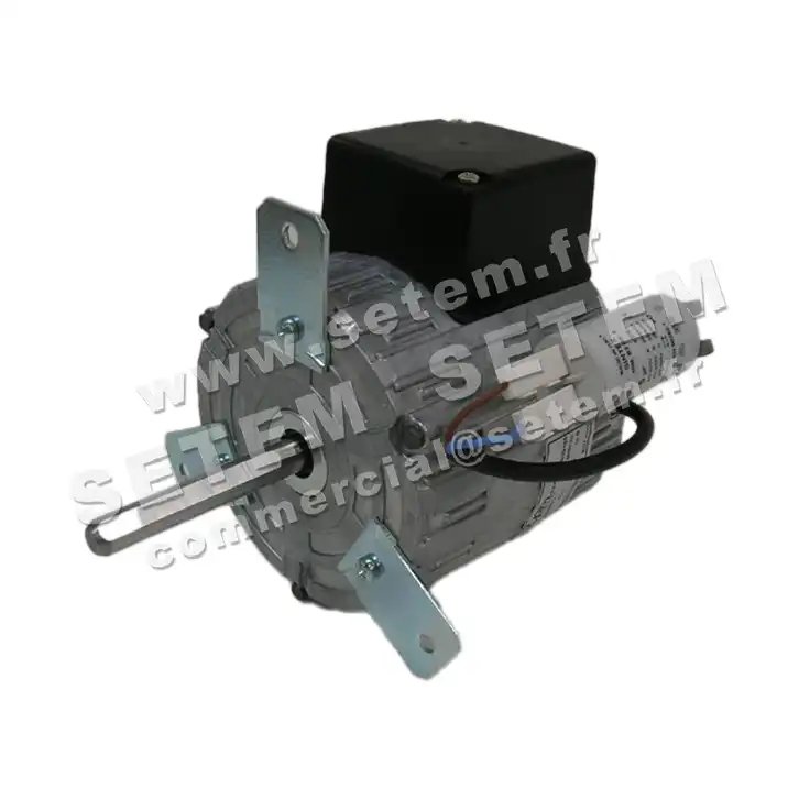 5726000061-MOTEUR RPM 11035100 2