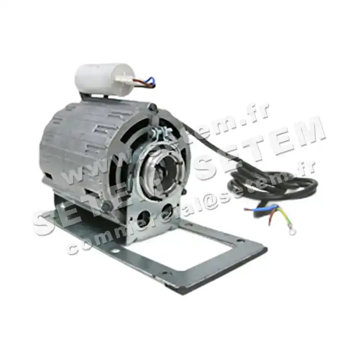5726000135-MOTEUR RPM 11002706