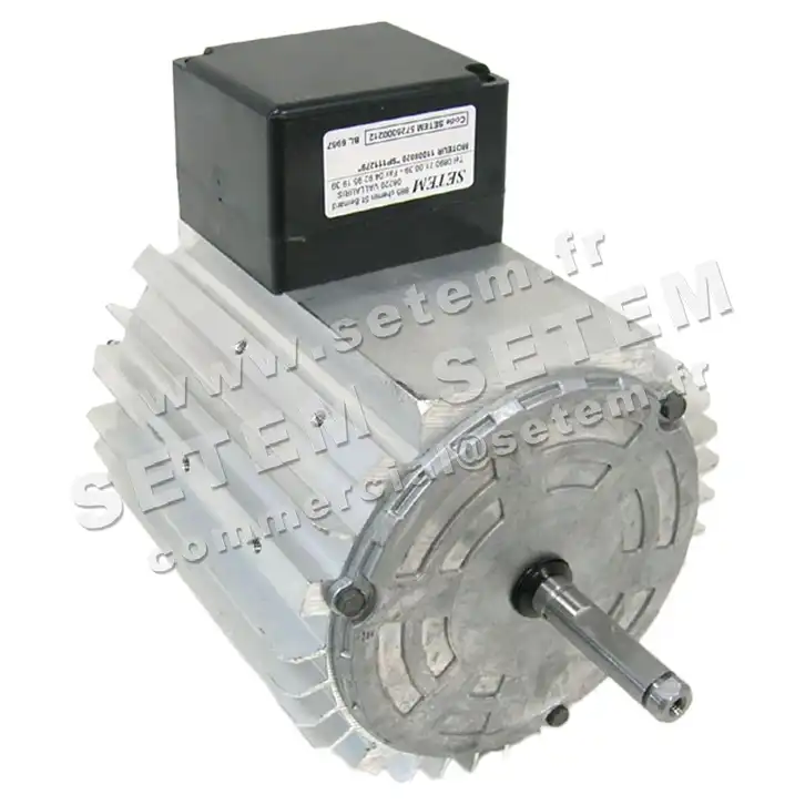 5726000212-MOTEUR RPM 11008020 2