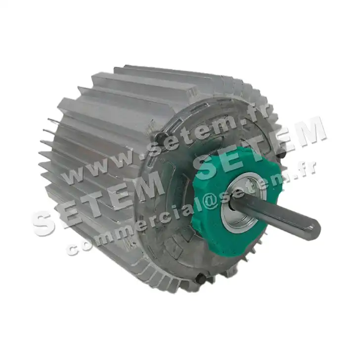 5726000227-MOTEUR RPM 11007508 2