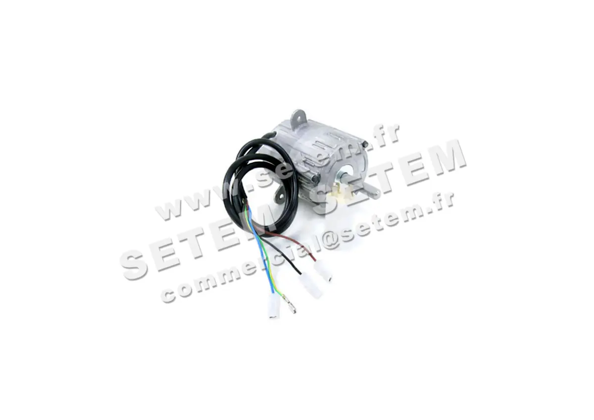 5726000232-MOTEUR RPM C009000 "6120300"
