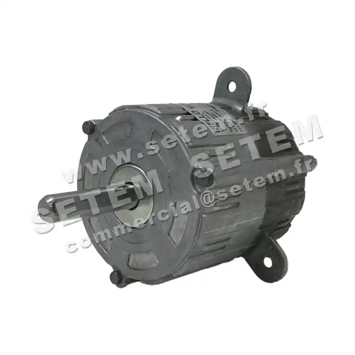 5726000232-MOTEUR RPM C009000 "6120300" 2