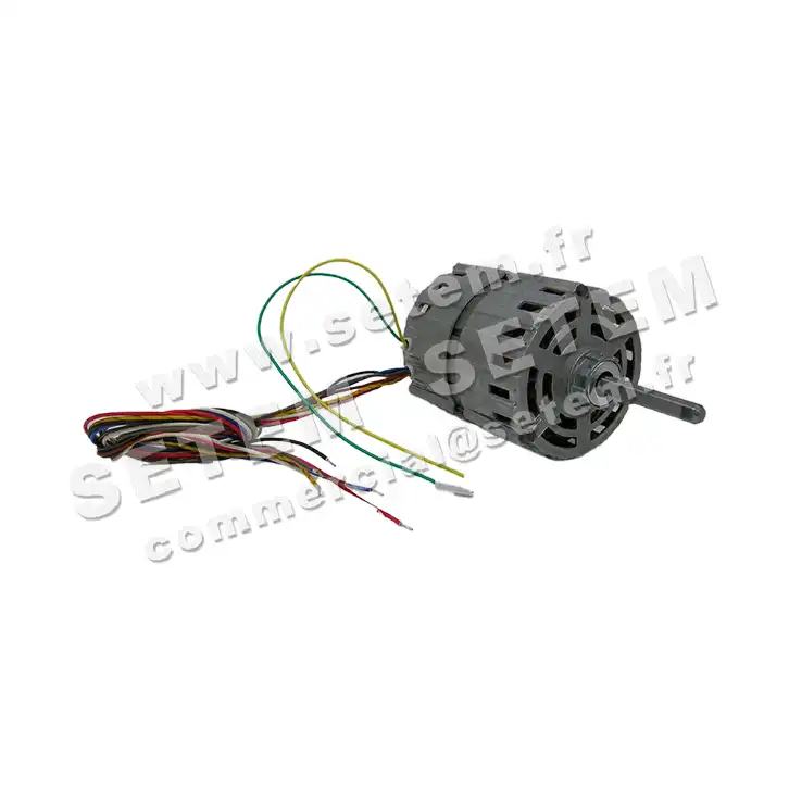 5726000256-MOTEUR RPM 11069000
