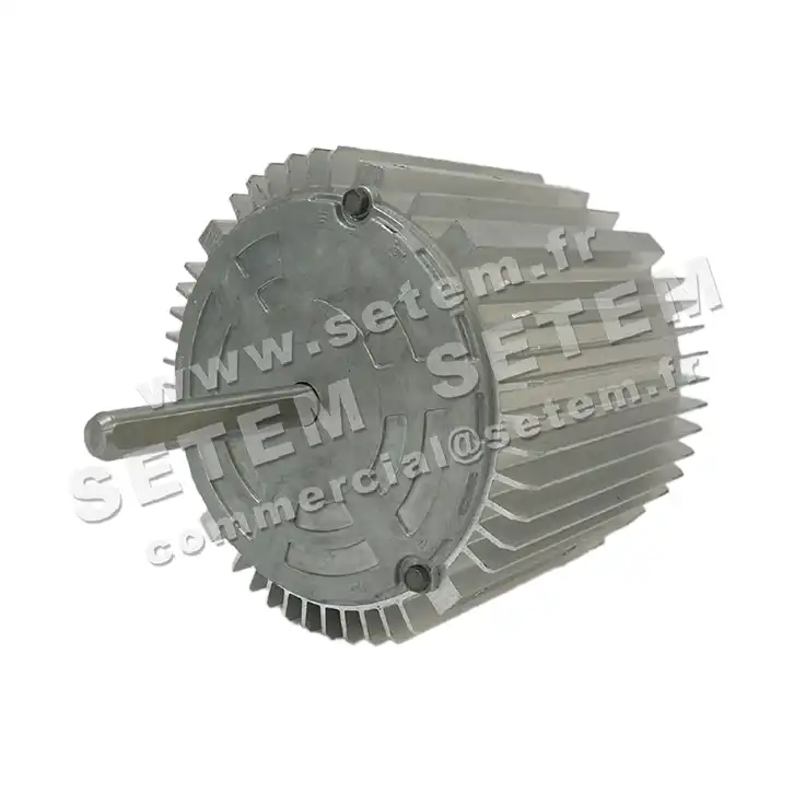 5726000257-MOTEUR RPM 11000811 2