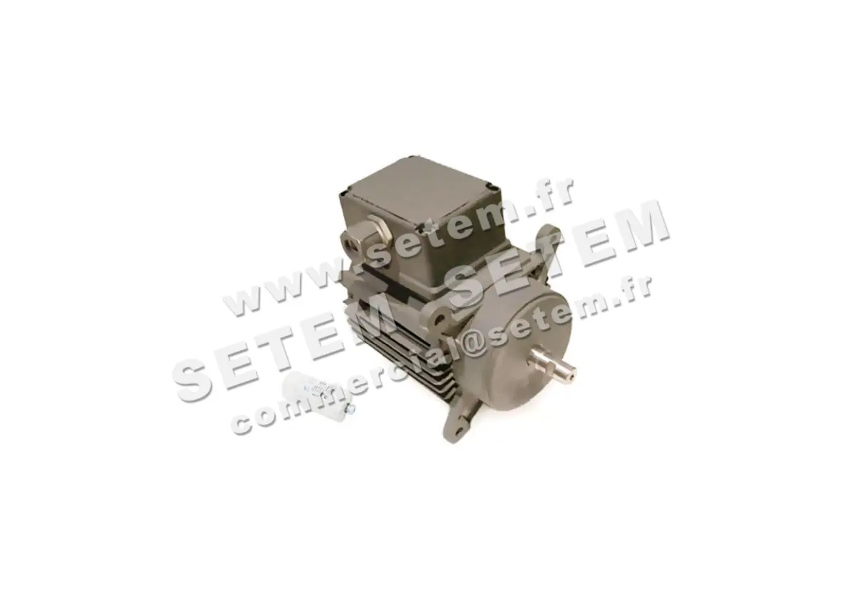 5726000275-MOTEUR RPM C028400 "3052050"
