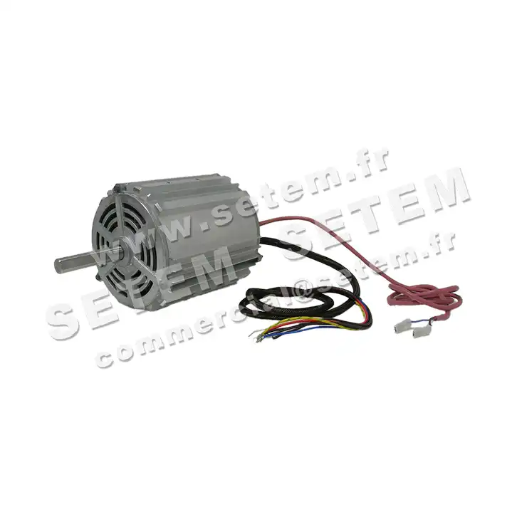 5726000276-MOTEUR RPM B005000 2