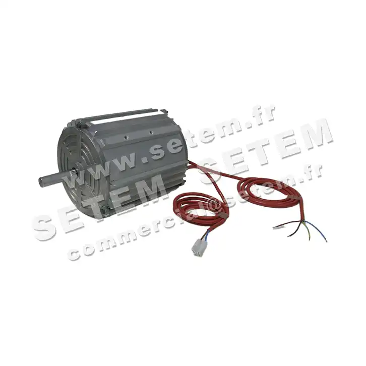 5726000300-MOTEUR RPM B005200 2