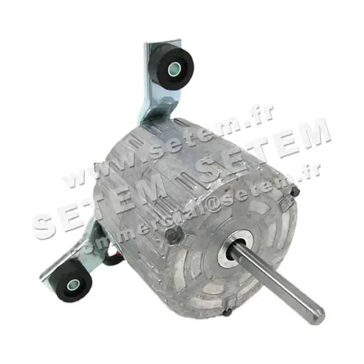 5726000310-MOTEUR RPM 11006321 2