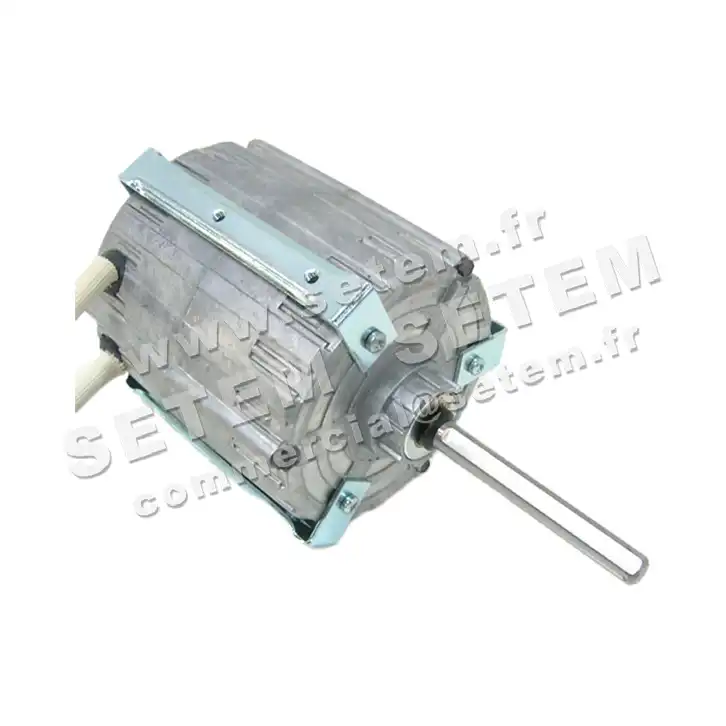 5726000316-MOTEUR RPM 11005025 2