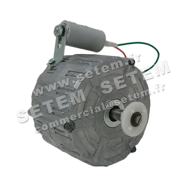 5726000460-MOTEUR RPM 11005300 2