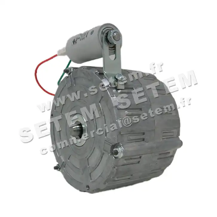 5726000460-MOTEUR RPM 11005300 3