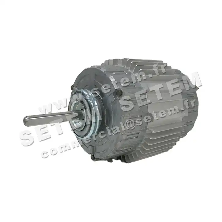 5726000676-MOTEUR RPM 11023813 3